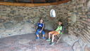 Nazwa pliku=IMG_0498.JPG
Wielkość pliku=125KiB
Rozmiar=800x450
Data dodania= 19, Sierpień 2021 IMG_0498.JPG