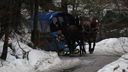 Nazwa pliku=IMG_1166.JPG
Wielkość pliku=51KiB
Rozmiar=640x360
Data dodania= 18, Luty 2022 IMG_1166.JPG