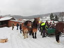 Nazwa pliku=DSCN4497.JPG
Wielkość pliku=308KiB
Rozmiar=800x600
Data dodania= 18, Luty 2022 DSCN4497.JPG