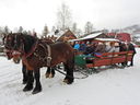 Nazwa pliku=DSCN4499.JPG
Wielkość pliku=313KiB
Rozmiar=800x600
Data dodania= 18, Luty 2022 DSCN4499.JPG
