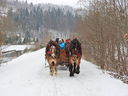 Nazwa pliku=DSCN4511.JPG
Wielkość pliku=267KiB
Rozmiar=800x600
Data dodania= 18, Luty 2022 DSCN4511.JPG