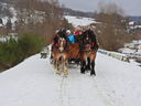 Nazwa pliku=DSCN4527.JPG
Wielkość pliku=280KiB
Rozmiar=800x600
Data dodania= 18, Luty 2022 DSCN4527.JPG