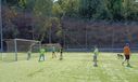 IMG-20250714-WA0034.jpg