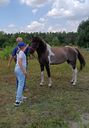 IMG-20250715-WA0042.jpg