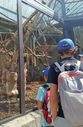 IMG-20250724-WA0004.jpg