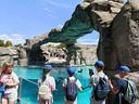 IMG-20250724-WA0010.jpg