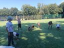 IMG-20250811-WA0003.jpg