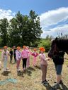 IMG-20260709-WA0039.jpg