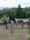 IMG-20260709-WA0105_28129.jpg
