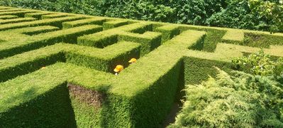 20260806_122125.jpg