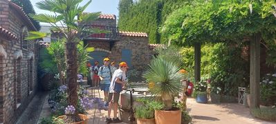 20260806_132536.jpg