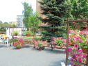 Nazwa pliku=DSC00285.JPG
Wielkość pliku=3303KiB
Rozmiar=5119x3839
Data dodania= 22, Maj 2015 DSC00285.JPG