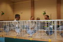 Nazwa pliku=DSC00353.JPG
Wielkość pliku=5871KiB
Rozmiar=4592x3056
Data dodania= 07, Grudzień 2015 DSC00353.JPG