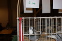 Nazwa pliku=DSC00376.JPG
Wielkość pliku=5371KiB
Rozmiar=4592x3056
Data dodania= 07, Grudzień 2015 DSC00376.JPG