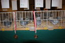 Nazwa pliku=DSC00377.JPG
Wielkość pliku=6321KiB
Rozmiar=4592x3056
Data dodania= 07, Grudzień 2015 DSC00377.JPG