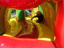 Nazwa pliku=DSC05327.JPG
Wielkość pliku=115KiB
Rozmiar=640x480
Data dodania= 24, Lipiec 2015 DSC05327.JPG