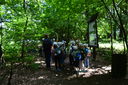 Nazwa pliku=DSC_0553.JPG
Wielkość pliku=2679KiB
Rozmiar=5120x3404
Data dodania= 08, Lipiec 2016 DSC_0553.JPG