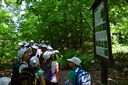 Nazwa pliku=DSC_0554.JPG
Wielkość pliku=2705KiB
Rozmiar=5120x3404
Data dodania= 08, Lipiec 2016 DSC_0554.JPG