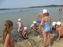 Nazwa pliku=IMG_0042.JPG
Wielkość pliku=3264KiB
Rozmiar=3264x2448
Data dodania= 17, Sierpień 2015 IMG_0042.JPG
