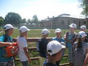 Nazwa pliku=IMG_0085.JPG
Wielkość pliku=3085KiB
Rozmiar=3264x2448
Data dodania= 21, Sierpień 2015 IMG_0085.JPG
