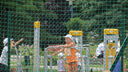 Nazwa pliku=IMG_0830~0.JPG
Wielkość pliku=1837KiB
Rozmiar=2816x1584
Data dodania= 27, Lipiec 2016 IMG_0830~0.JPG
