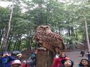 IMG_20190711_122504_28329-800x600.jpg