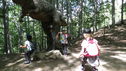 Nazwa pliku=IMG_5986.JPG
Wielkość pliku=2743KiB
Rozmiar=4000x2248
Data dodania= 13, Lipiec 2018 IMG_5986.JPG