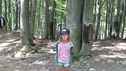 Nazwa pliku=IMG_5996.JPG
Wielkość pliku=2544KiB
Rozmiar=4000x2248
Data dodania= 13, Lipiec 2018 IMG_5996.JPG