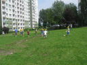Nazwa pliku=IMG_8550.JPG
Wielkość pliku=4079KiB
Rozmiar=3264x2448
Data dodania= 11, Sierpień 2014 IMG_8550.JPG