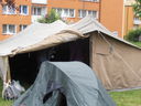 Nazwa pliku=P1010012~6.JPG
Wielkość pliku=727KiB
Rozmiar=2048x1536
Data dodania= 27, Maj 2015 P1010012~6.JPG