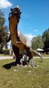Nazwa pliku=received_1055401041162363.jpeg
Wielkość pliku=129KiB
Rozmiar=667x1184
Data dodania= 08, Lipiec 2016 received_1055401041162363.jpeg